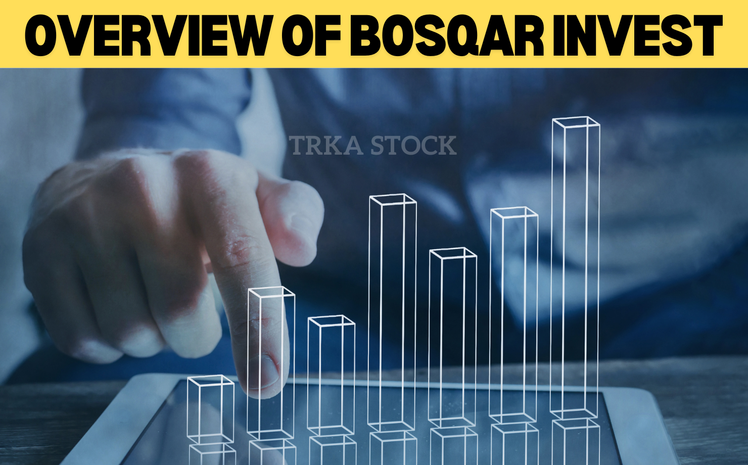 bosqar invest: smartflex